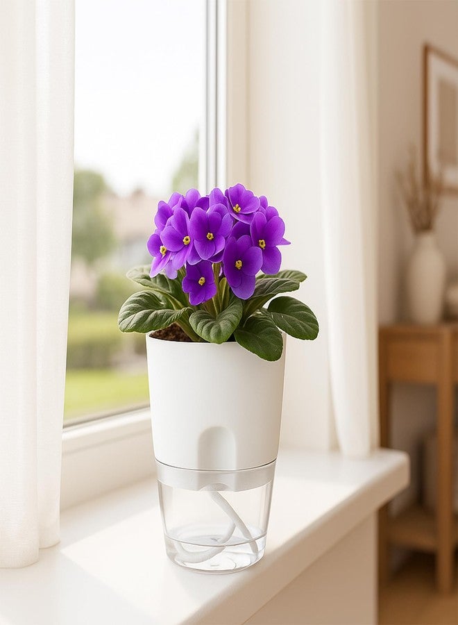 Planterhoma 3 Pack Self Watering Pots for Indoor Plants, 6 Inch Plant Pot Plastic Self Watering Planter for Orchid, African Violet, Small Clear Flower Pots with Drainage Holes and Wicking Rope, White - Image 4